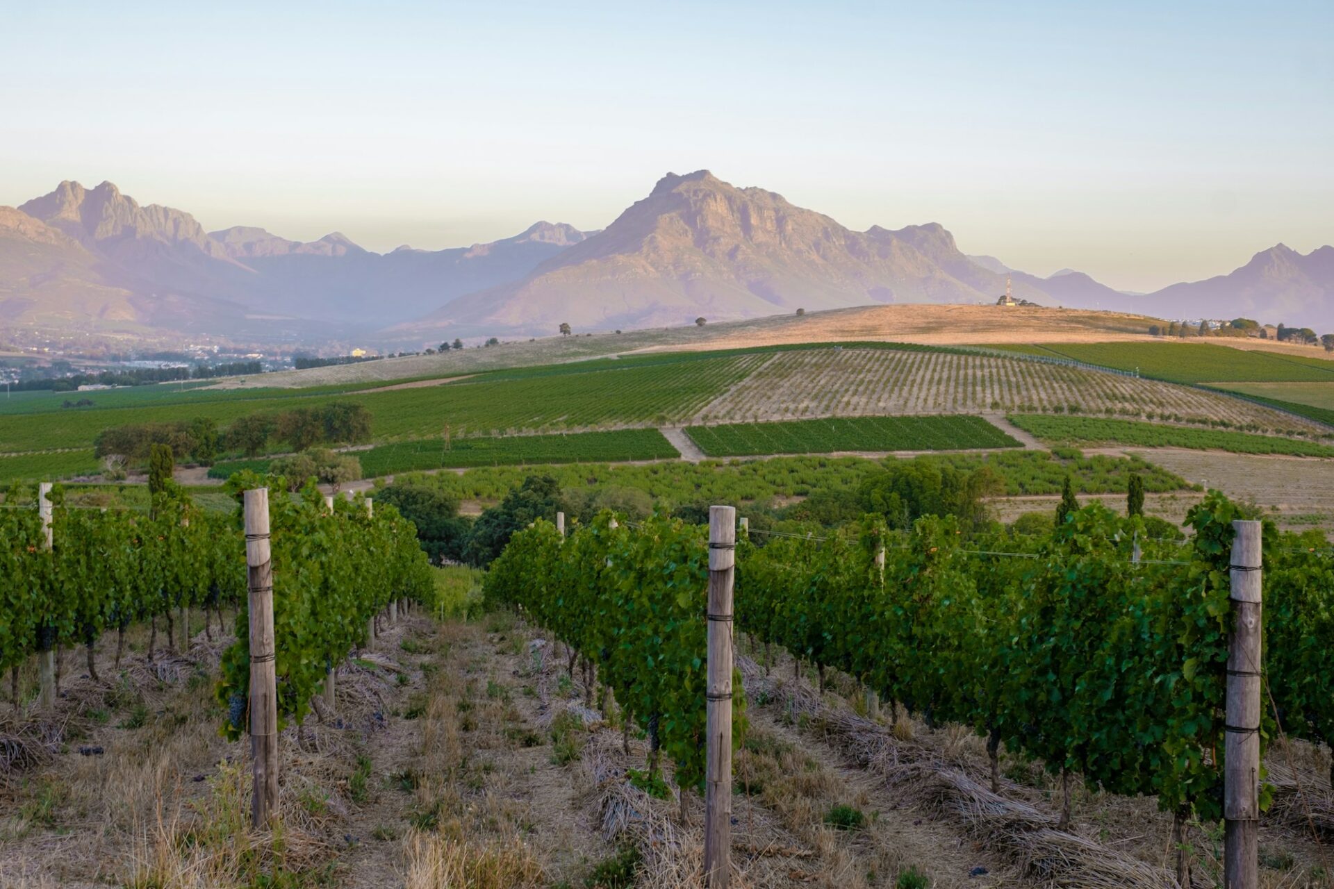 Witzenberg When to Visit the Cape Winelands: Wine & Scenery| Safari365